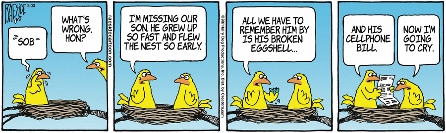 wireless bird
