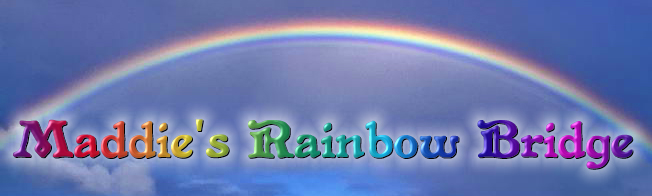 Maddie's Rainbow Bridge: