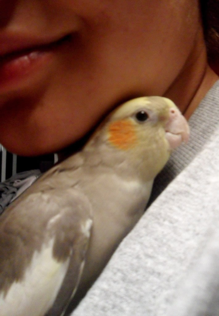 Charlie