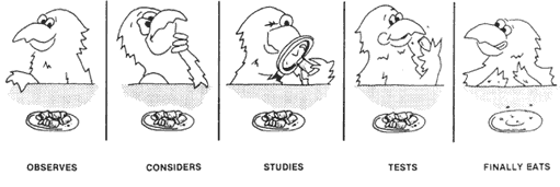 Cartoon-Lafeber